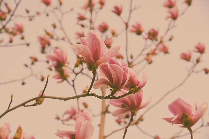 尼康D750怎么样?尼康D750好吗?_慢慢买