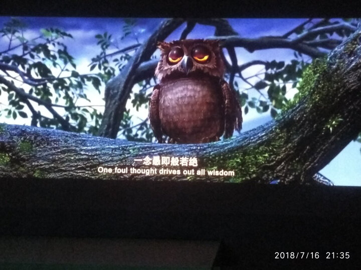 极米(XGIMI)H1S 家用 投影机 投影仪(1080P分辨率 哈曼卡顿音响 1100流明 左右梯形校正 全自动对焦) 晒单图