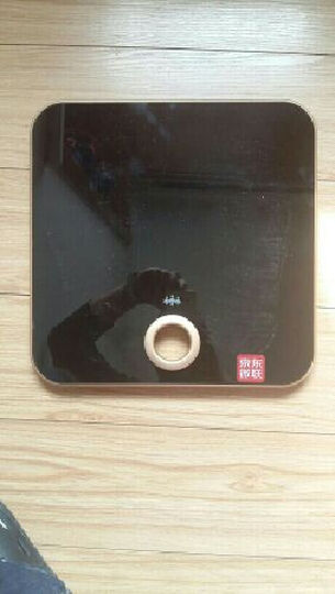 乐心(LIFESENSE)S1 蓝牙连接 微联智能电子称