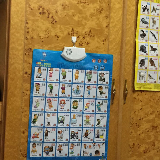 乐乐鱼凹凸有声挂图语音发声识字卡宝宝早教幼