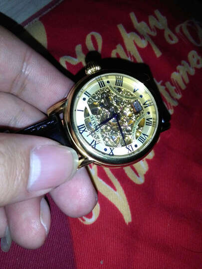 欧亚利(OYALIE)手表全自动机械表 镂空商务男