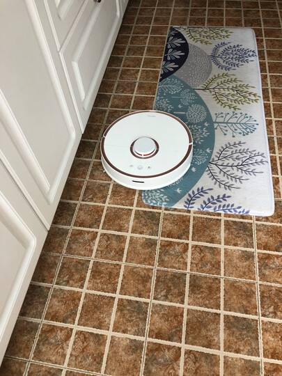 石头(roborock)扫地机器人 扫拖一体真规划 智能规划路线 家用吸尘器 S51 晒单图