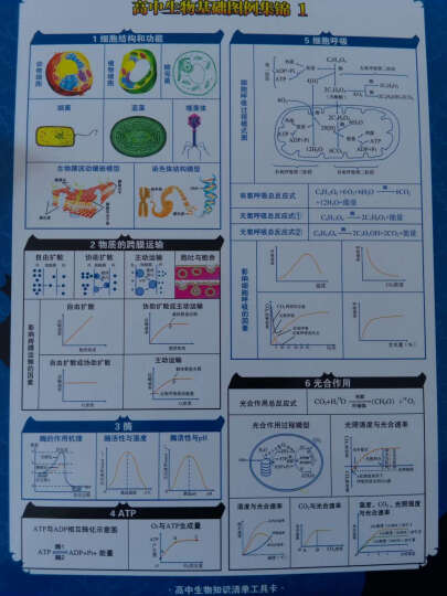 高中知识清单：生物（第3次修订） 晒单图