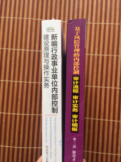 基于风险管理的内部控制审计流程·审计实务·审计模板 晒单图