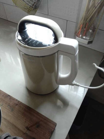 九阳(Joyoung)DJ13B-N620SG全新无网无筋多