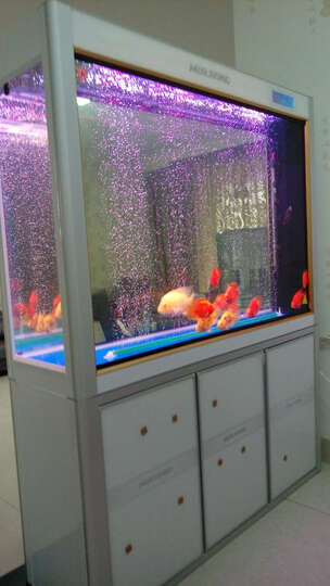 闽江 新款时尚鱼缸水族箱生态中型龙鱼缸 1米