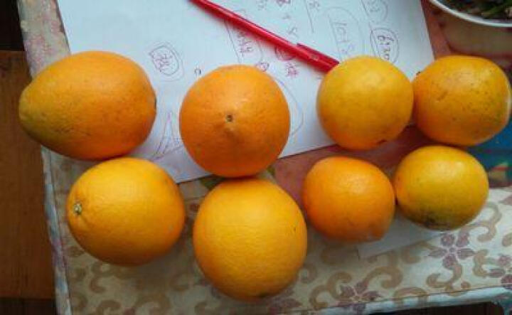 【鲜游记】赣南脐橙江西橙子 4斤装(买2份送1