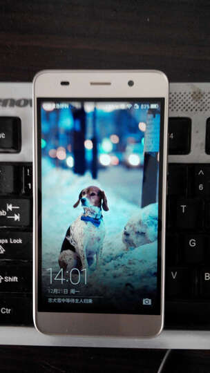 0) 2GB内存标准版 金色 移动联通电信4G手机