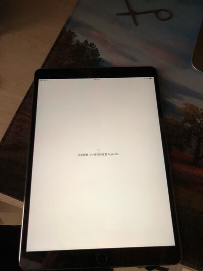 【二手95新】Apple/苹果iPad Pro 9.7/10.5英寸平板电脑二合一 Pro 10.5英寸64GB 银色 晒单图