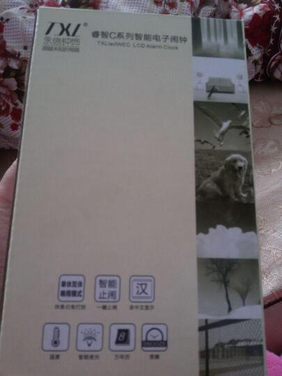 永信(TXL)睿智C 智能电子静音懒人聪明灯自动