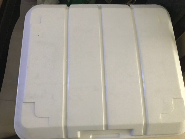 安马(Amausa)家车多用大容量后备箱收纳置物箱杂物整理箱 40升 PP环保塑料 L600 绿色 晒单图