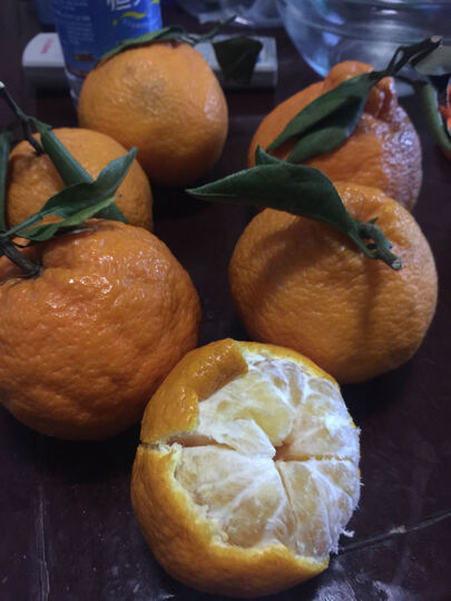 百宝源 丑橘5斤包邮 桔子 不知火丑柑 丑柑应季