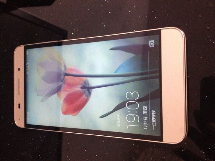 玩4X (Che1-CL10) 增强版 金色 电信4G手机 双