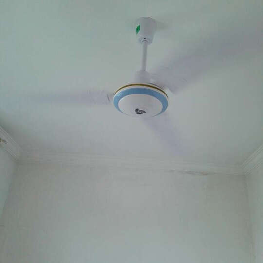 志高(CHIGO) FC-20 电风扇\/1200mm吊扇--风速