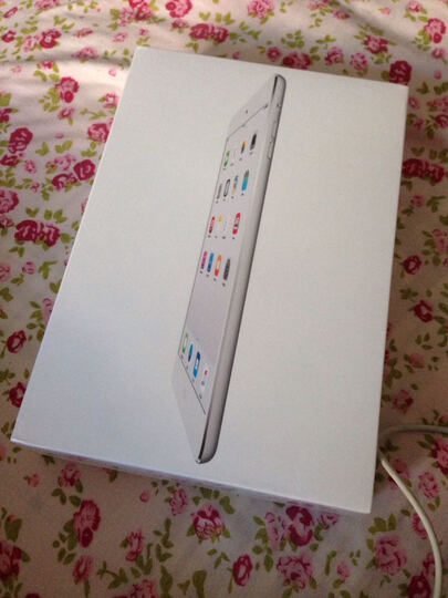 Apple iPad mini 2 7.9英寸平板电脑 银色(16G 
