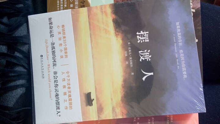 【包邮】摆渡人+偷影子的人+ 追风筝的人 共3