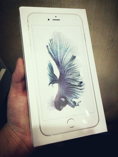 Apple iPhone 6s Plus (A1699) 64G 银色 移动联