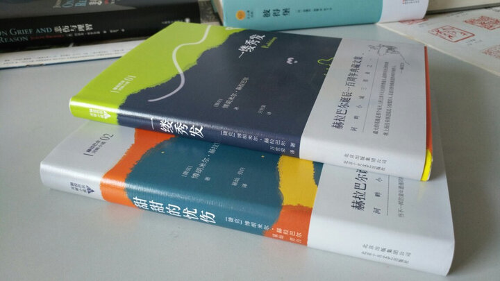 赫拉巴尔河畔小城01:一缕秀发 晒单图