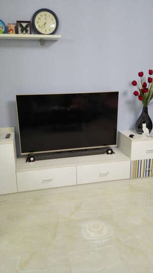 小米(MI)L55M2-AA(套装版)55英寸平板电视4K