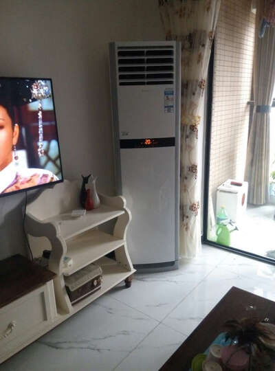 格力(GREE) 2匹 变频 悦雅 立柜式冷暖空调(白