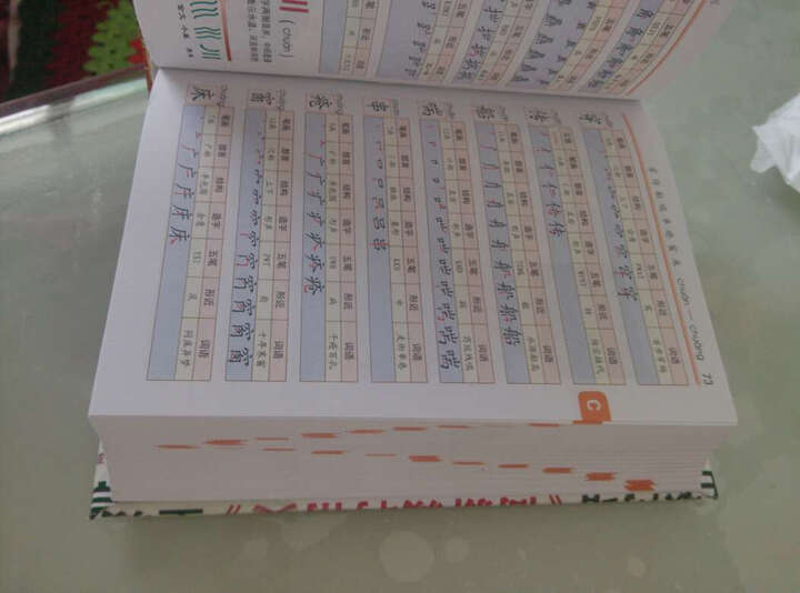 正版包邮 小学生笔顺规范字典 (精)百科版彩色