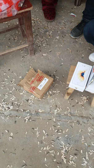 Apple iPhone 6s (A1700) 16G 金色 移动联通电