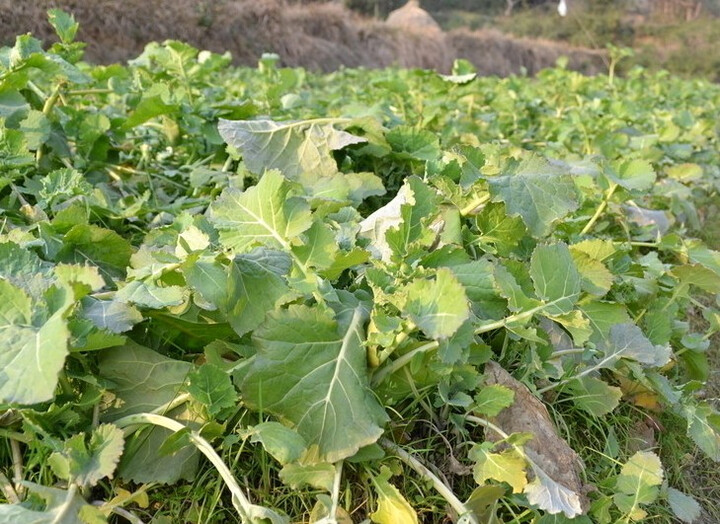 索尼(SONY) DSC-RX100 黑卡数码相机(2020万