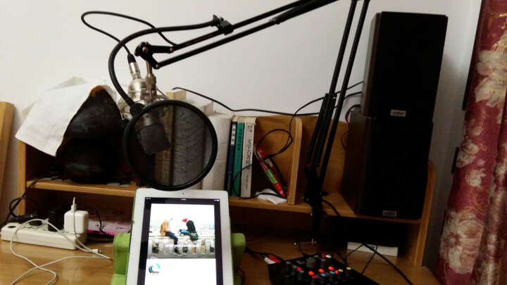 iSK ASD40 专业麦克风悬臂支架--已安装,相当