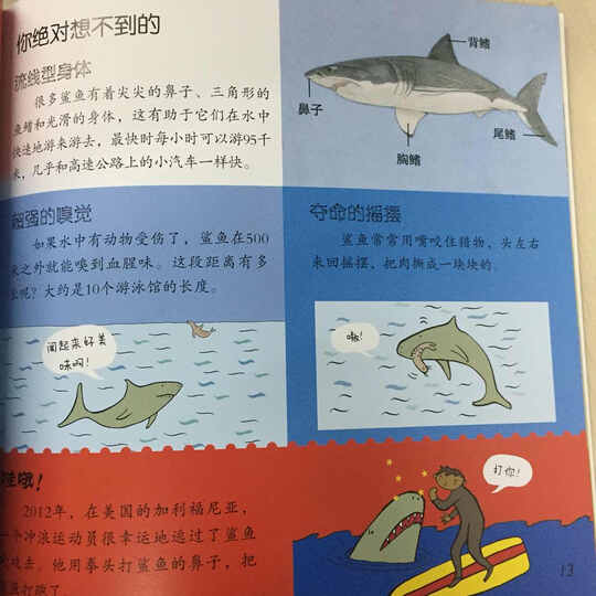 世界上最酸甜可口的化学书(珍藏版) 晒单图