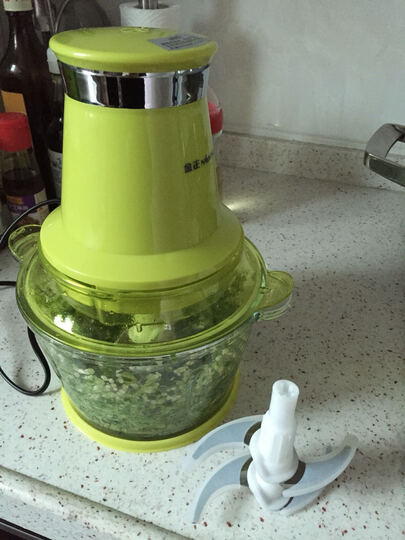 金正(NINTAUS) 四维双刀头绞肉机 家用搅拌机