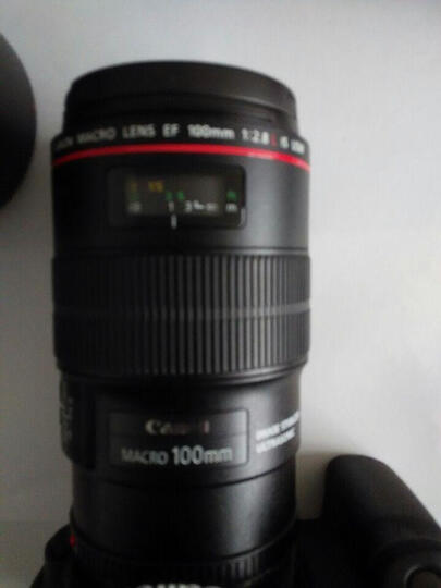 佳能(Canon) EF 100mm f/2 USM 远摄定焦镜头 套装 晒单图