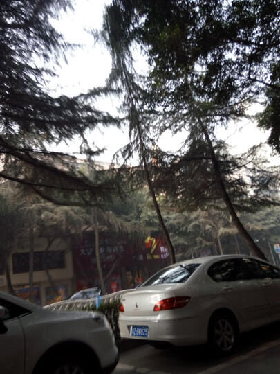 中兴 Blade A1(C880U) 16G 灵动白 移动4G手机