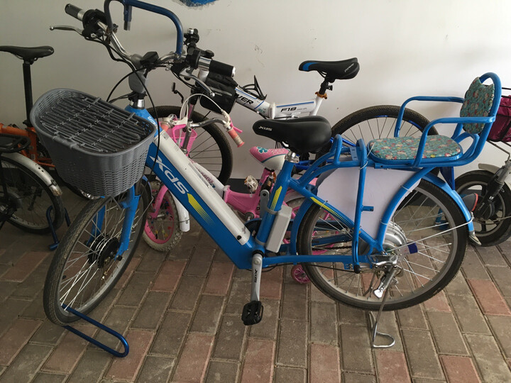 喜德盛(xds) 电动车48v锂电池铝合金通用代步20/24寸电瓶助力车 灵动9