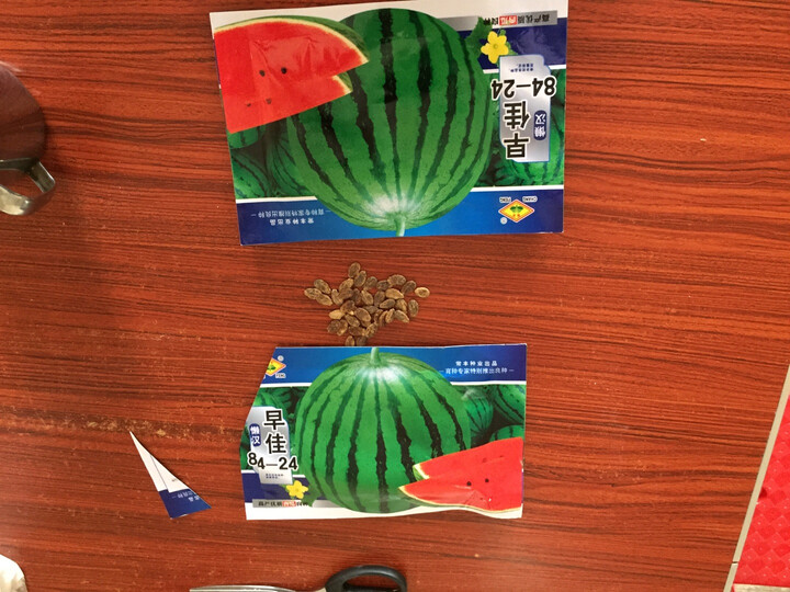 颜集卉 A蔬菜种子四季播种庭院阳台种菜花种子易活 芝麻酥甜瓜230粒 晒单图