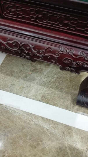 准信 艾滋病检测试纸 爱滋HIV血检测 2盒装--使