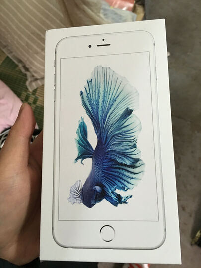 Apple iPhone 6s Plus (A1699) 64G 银色 移动联