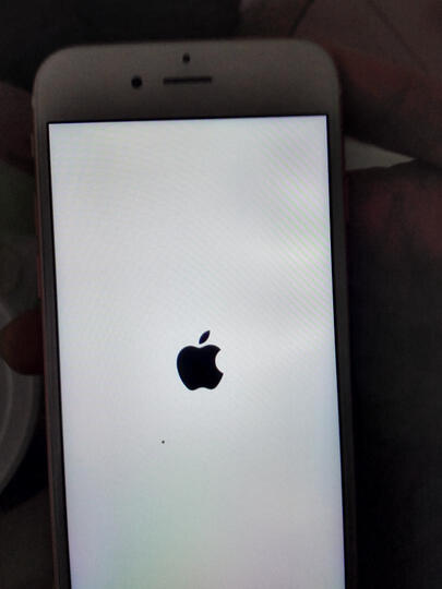 Apple iPhone 6s (A1700) 64G 玫瑰金色 移动联