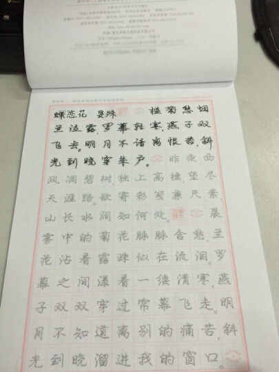 庞中华经典宋词欣赏：行书（钢笔字帖） 晒单图