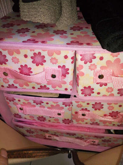 简纳 收纳盒文胸内衣收纳盒袜子内裤塑料收纳