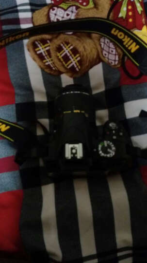 尼康（Nikon） D3300 单反套机（AF-P DX 18-55mm f/3.5-5.6G VR 防抖镜头） 晒单图