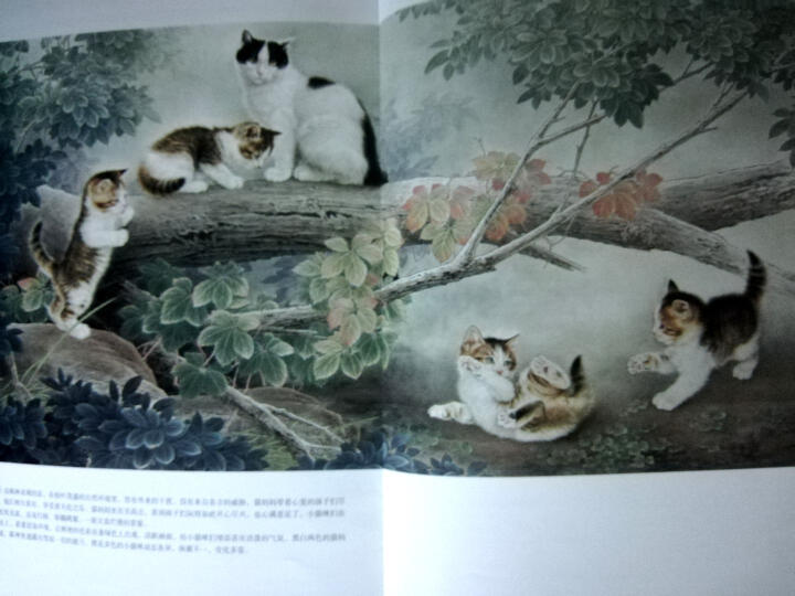 中国画名家技法丛书：工笔猫技法全解 晒单图