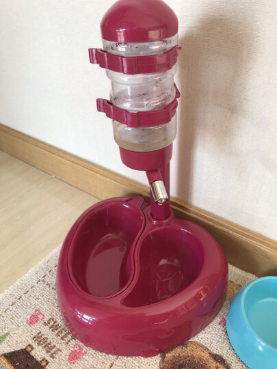 华元宠具（hoopet）狗狗饮水器挂式喝水器猫碗自动喂水器泰迪小狗立式水壶宠物猫咪小型犬自动饮水机 饮水器双碗（带吸盘）黄 杆式组合升降 晒单图