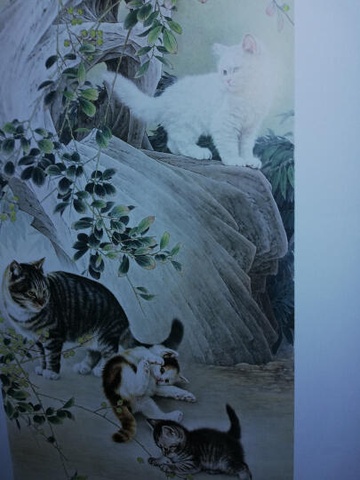 中国画名家技法丛书：工笔猫技法全解 晒单图