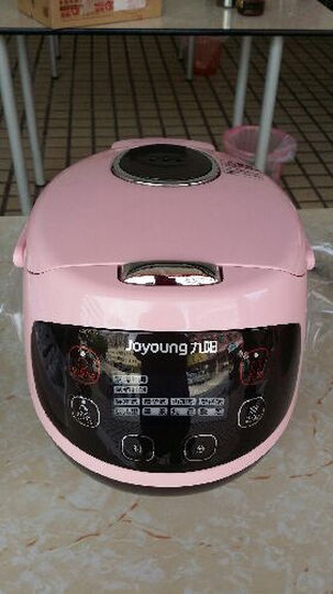 晶内胆 粉色 2L 可预约 可制蛋糕 酸奶 婴儿粥 一