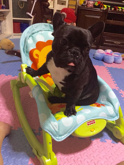 费雪（Fisher Price） 新生儿宝宝婴幼儿可爱动物多功能轻便摇椅睡觉椅W2811 晒单图