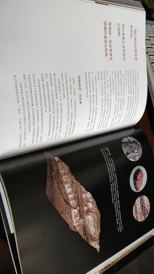 国家地理火星零距离:好奇号火星探索全记录 晒单图