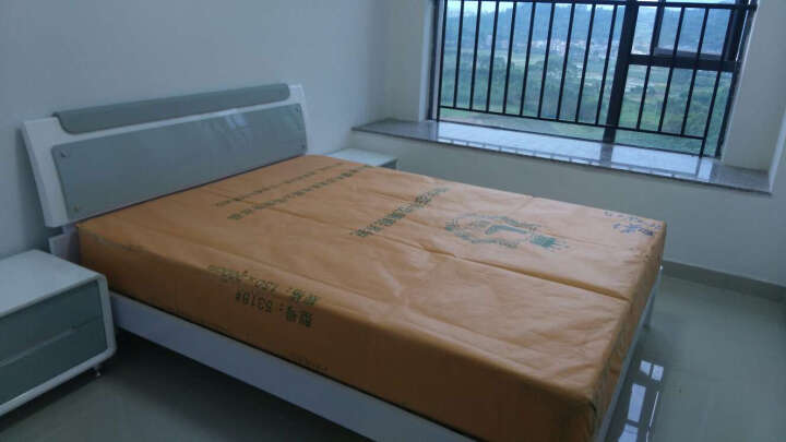 宫殿威仪 床 简约现代双人床1.8 1.5米板式床 卧室家具套装 气动高箱床储物床 排骨架床+1*床头柜+弹簧床垫 1800*2000 晒单图
