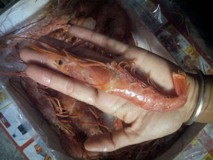 海买阿根廷红虾:刚收到,还没做来吃,但看着还