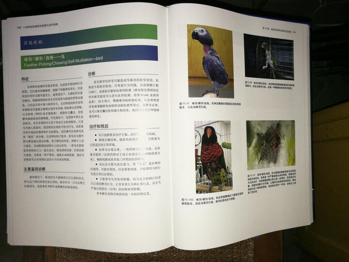 小动物皮肤病彩色图谱与治疗指南(第3版) 晒单图