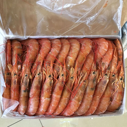 阿根廷红虾热评榜